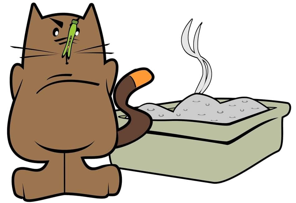 Can an air purifier help with cat litter box smell