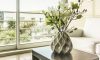 46 Indoor Plants That Clean The Air & Remove Toxins – A  Detailed List