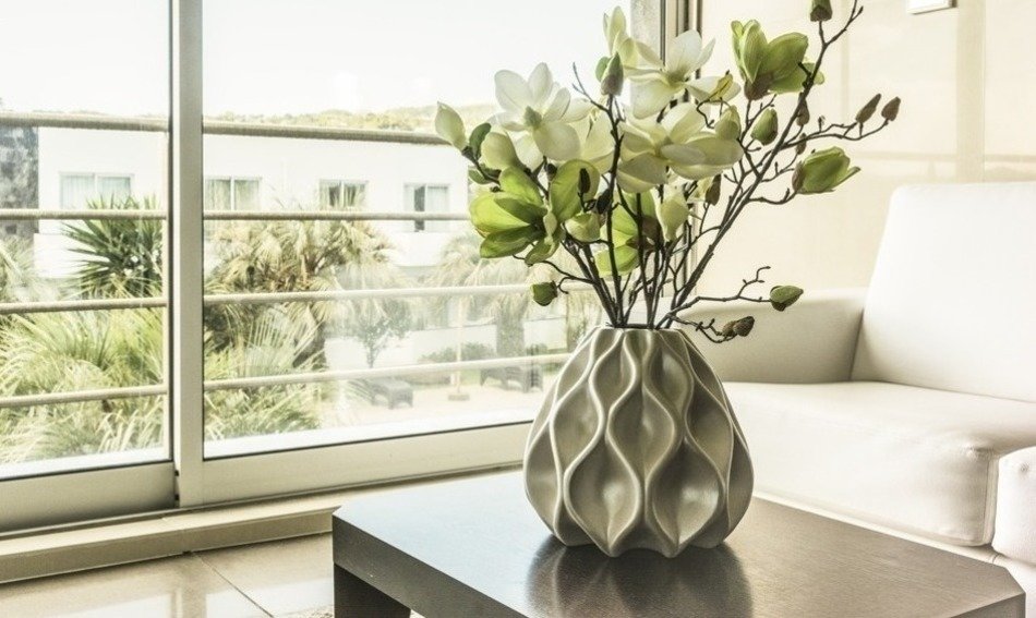 46 Indoor Plants That Clean The Air & Remove Toxins A Detailed List