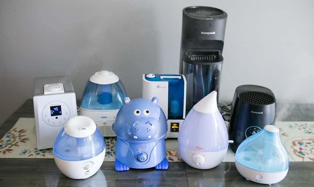 What Are The Different Types Of Humidifiers? A Complete List