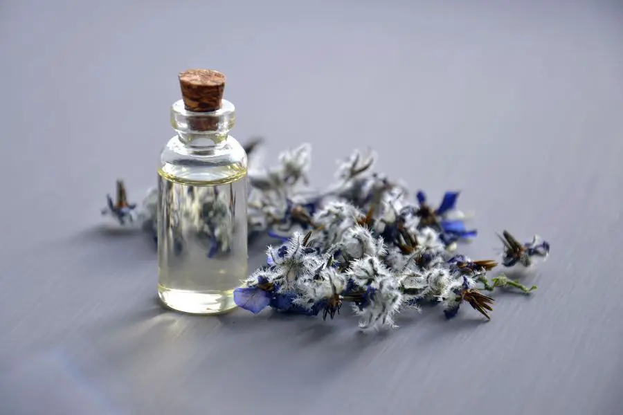 How To Purify Air With Essential Oils