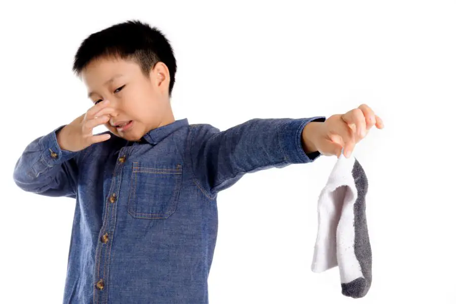Why Do Air Purifiers Smell Bad? 9 Tips To Stop The Smell