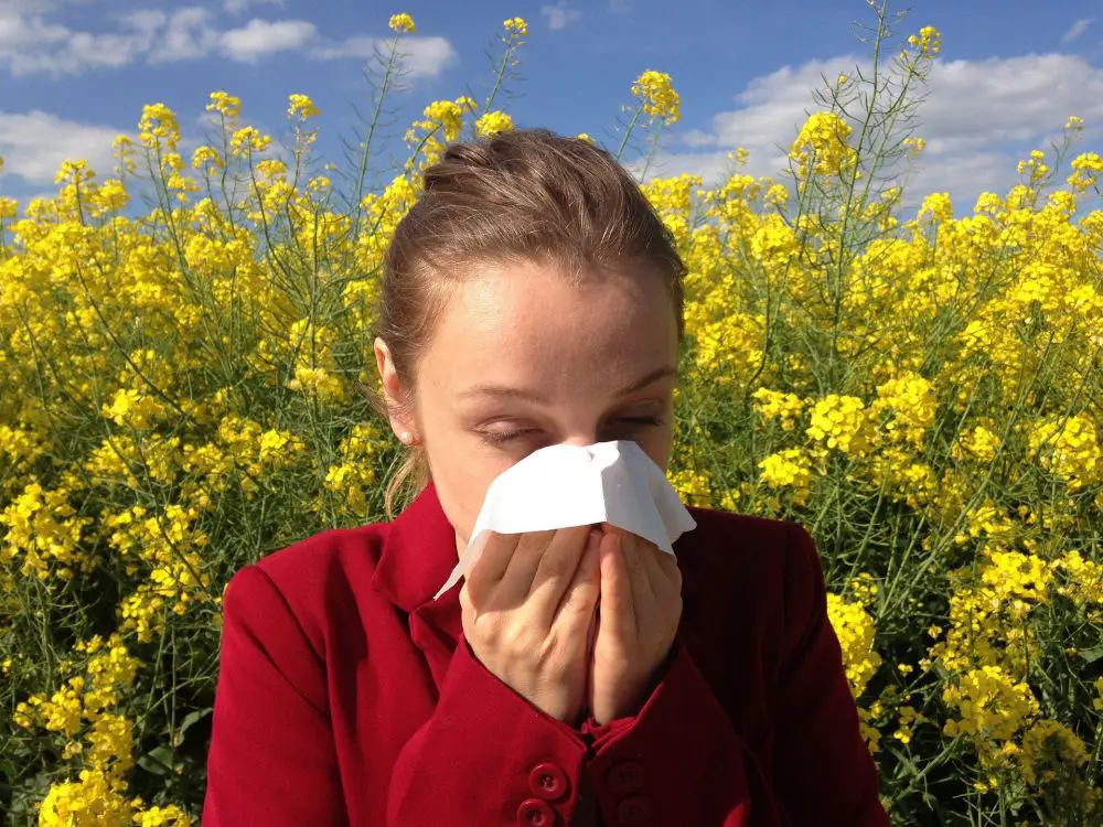 can air purifiers help with asthma