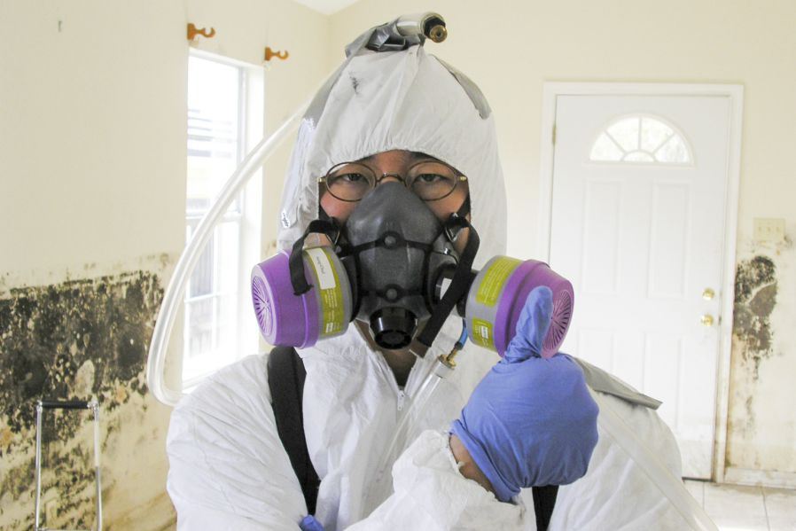 How To Remove Airborne Mold Properly And Stay Mold Free